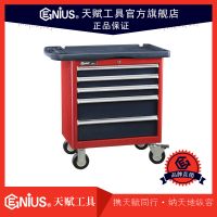 天賦工具5抽屜滾珠導(dǎo)軌工具車(chē)TS-465P